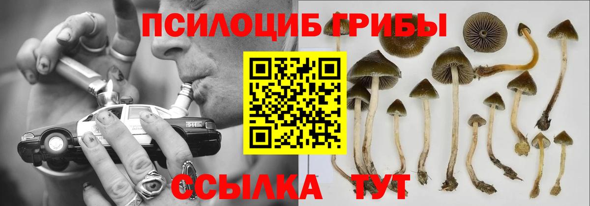 Псилоцибиновые грибы мухоморы Шебекино