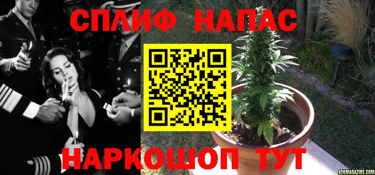 Шебекино  Конопля Ganja  Шишки марихуана гибрид  Шишки марихуана VHQ  Вход с VPN 